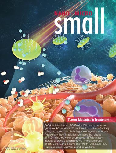 PAD4 Inhibitor-Loaded Layered Double Hydroxide Nanosheets as a Multifunctional Nanoplatform for Photodynamic Therapy-Mediated Tumor Metastasis Treatment (Small 50/2024)