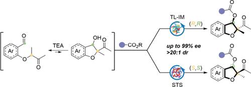 Enzyme-Catalyzed Dynamic Kinetic Resolution for the Asymmetric Synthesis of 2,3-Dihydrobenzofuran Esters and Evaluation of Their Anti-inflammatory Activity