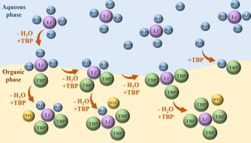 Elucidating the Mechanism of Lithium Ion Extraction in a Tributyl Phosphate-Ionic Liquid Mixed System from the Perspective of Water Coordination