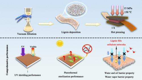 High-Barrier, Photothermal Conversion, and Antibacterial Composite Enabled by Kraft Lignin-Coated Cellulose Paper for Plastic Replacement