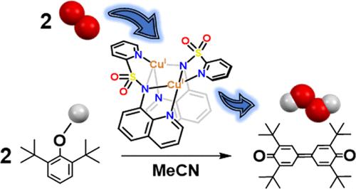 Dimeric Copper(I) Complex with a Disulfonamide-Bridged Core
