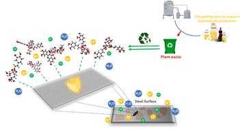 Exploring the role of Chrysanthemum coronarium leaves distillation waste as a green inhibitor for carbon steel in acidic environment: an integrated study†