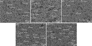 Doubled Jc of Bi-2212 superconducting films by small addition of pure 14:24AEC in Bi-2212 precursor powder