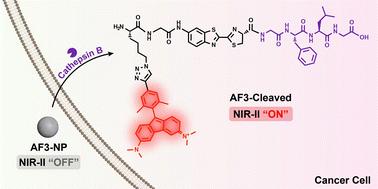 “Turn-on” NIR-II fluorescence of a dually quenched probe for sensitive imaging of cathepsin B in vivo†