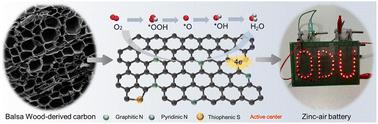 Electronic structure regulation of carbon atoms from wood for enhancing Zn–air battery performances†