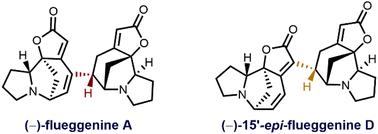 Total synthesis of (−)-flueggenine A and (−)-15′-epi-flueggenine D†