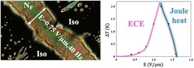 Low field electrocaloric effect at isotropic–ferroelectric nematic phase transition†