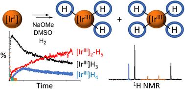 Iridium trihydride and tetrahydride complexes and their role in catalytic polarisation transfer from parahydrogen to pyruvate†