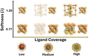 Nanoparticle superlattice with a C14 Frank–Kasper structure formed by highly monodisperse one-size gold nanoparticles in suspension†