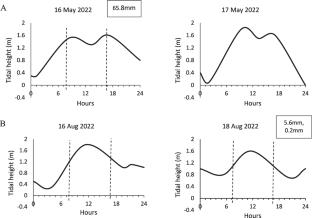Microplastic abundance in the surface water of tropical estuarine fronts