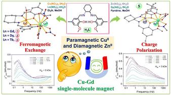Impact of paramagnetic CuII and diamagnetic ZnII ions on single-molecule magnetism in heterodinuclear 3d–4f complexes displaying slow relaxation of magnetization†
