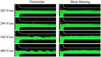 Electrokinetic flow instabilities in shear thinning fluids with conductivity gradients