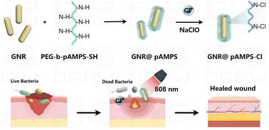 Thiol-terminated N-halamine ligands to photothermal gold nanorods for synergistically combating antibiotic-resistant bacteria†