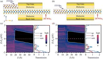 Controllable spin rectification behavior of vertical and lateral VSe2/WSe2 heterojunction Schottky diodes†