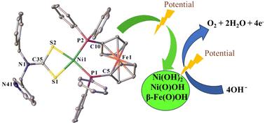 Ni(ii)-Dithiocarbamate and -diphosphine coordination complexes as pre-catalysts for electrochemical OER activity†