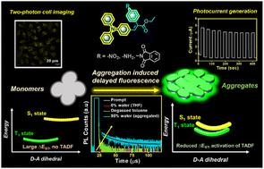 Multifunctional luminogens with synergy of aggregation-induced delayed fluorescence, two-photon absorption and photocurrent generation†