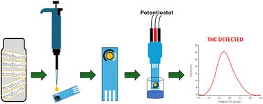 Anion exchange polymer modified electrodes for detection of Δ9-tetrahydrocannabinol (Δ9-THC): a potential electrochemical sensor for point-of-care and roadside testing†