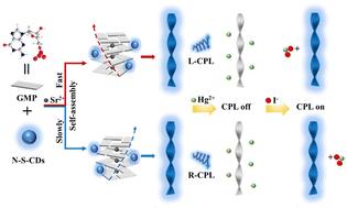 Construction of a circularly polarized luminescence sensor based on self-assembly of carbon dots and G-quartet chiral nanofibers†