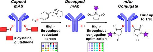 High-Throughput Experimentation Reveals Scope and Limitations of Selective Phosphine Reductants and Enables One-Pot mAb Reduction/Conjugation