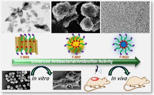 Shape and Size Dependent Antimicrobial and Anti-biofilm Properties of Functionalized MoS2