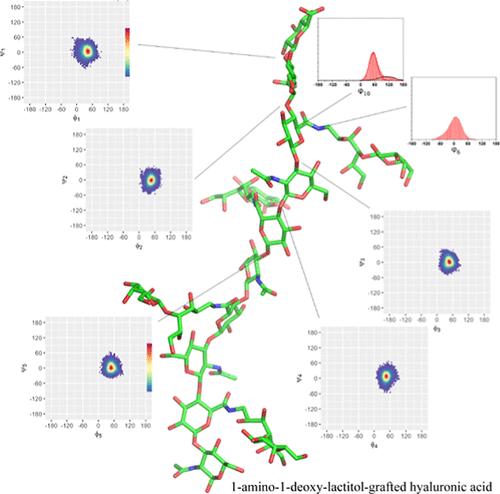 Modeling the Detailed Conformational Effects of the Lactosylation of Hyaluronic Acid