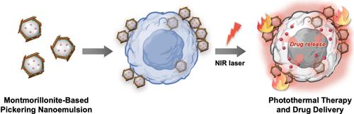 A Montmorillonite-Based Pickering Nanoemulsion for the Integration of Photothermal Therapy and NIR-Responsive Drug Delivery