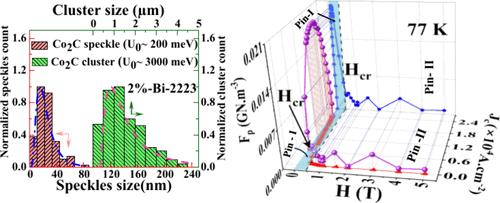 Co2C Nanoparticle-Decorated Grain Boundaries: A Source of Robust, Thermally Stable Vortex Pinning in Bi-2223 High Tc Superconductors