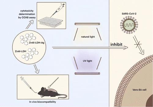 Colloidal ZnAl-Layered Double Hydroxide Nanomaterials for Effective Prevention of SARS-CoV-2