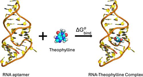 Essential Considerations for Free Energy Calculations of RNA–Small Molecule Complexes: Lessons from the Theophylline-Binding RNA Aptamer