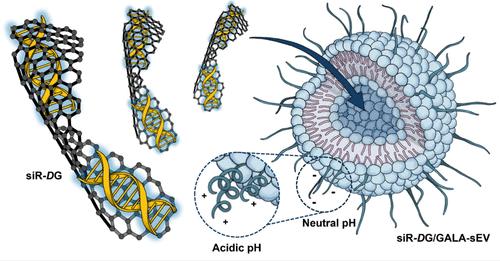 Enhancing Gene Delivery to Breast Cancer with Highly Efficient siRNA Loading and pH-Responsive Small Extracellular Vesicles