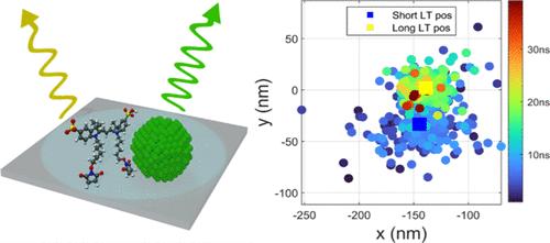 Super-Resolved Fluorescence Lifetime Imaging of Single Cy3 Molecules and Quantum Dots Using Time-Correlated Single Photon Counting with a Four-Pixel Fiber Optic Array Camera