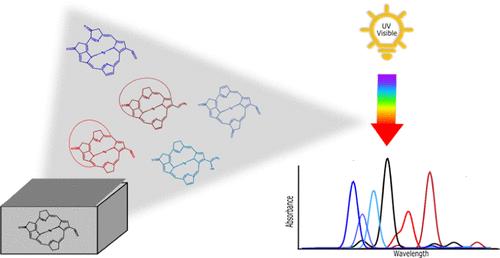 Computational Design of (B)Chl Models: Structural and Chemical Modifications toward Enriched Properties