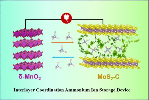 Thiocyanate Coordination Regulates the Interlayer Ammonium Ion Storage Structure of Molybdenum Disulfide