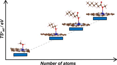 Decoding the Role of Adsorbates Entropy in the Reactivity of Single-Atom Catalysts