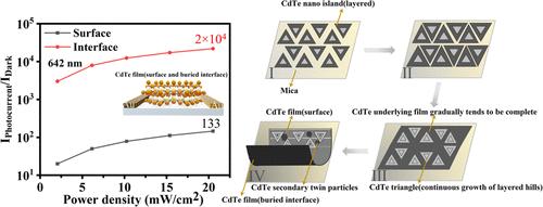 van der Waals Epitaxial Growth of Centimeter-Scale CdTe Thin Films for High-Performance Photodetectors