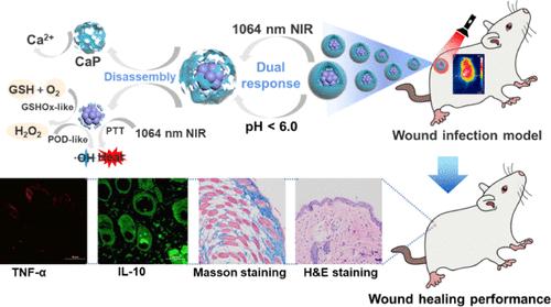 NIR-II/pH Dual Responsive CuHDB@CaP Nanospheres as a Self-Cascading Catalytic Platform for Highly Efficient Combating Bacterial Infections