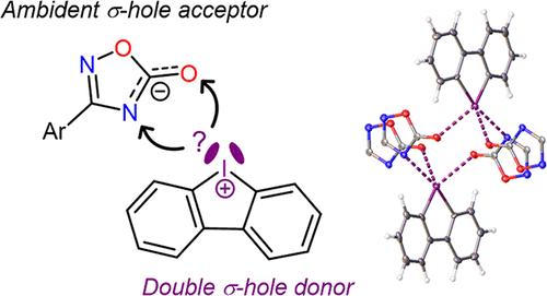1,2,4-Oxadiazole Ring as the Halogen-Bond Acceptor: The Case Study of Dibenzoiodolium 1,2,4-Oxadiazolates