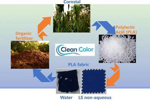 Sustainable Strategy for Promoting the Color Strength and Dimensional Stability of Polylactic Acid Fabrics