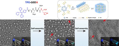 NaCl-Responsive Ultrashort Peptide to Trigger Self-Assembly of TPE-Capped Supramolecular Hydrogelator
