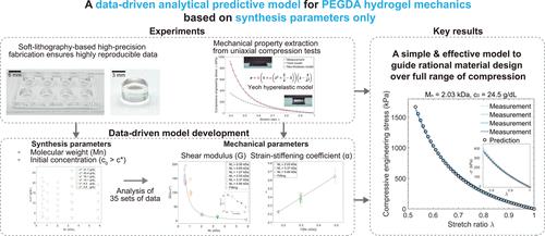 Data-Driven Framework for the Prediction of PEGDA Hydrogel Mechanics
