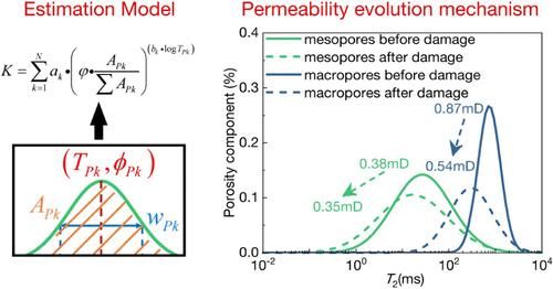 Exploration of Pore Structure and Permeability Evolution of Carbonate under Drilling Fluid Invasion Based on Adaptive Quantitative Multiscale Pore Structure Characterization