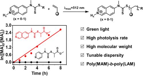 Green Light-Controlled Switchable Photoiniferter Polymerization