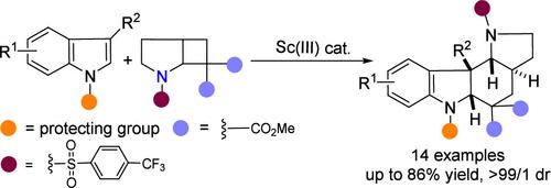 A Facile Approach to Tetracyclic Indolines: Highly Diastereoselective [4+2] Annulation of Indoles with Bicyclic N-Substituted Cyclobutanes