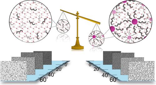 Gold Nanoparticles Decorated with HPLC6-Derived Peptides as a Platform for Ice Recrystallization Inhibition