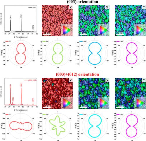 Origin of Orientation-Controlled Magnetoresistance Anisotropy in Topologically Protected Semimetal Bi Films