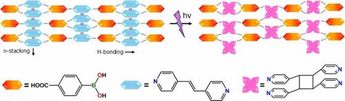 Crystal Engineering of Multiple Supramolecular Heterosynthons in Cocrystals of Boronic Acids: Structures, Photoreactivities, and Catalysis
