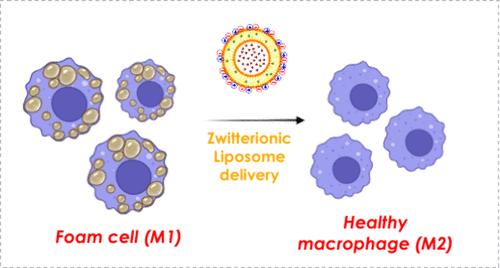 Zwitterionic, Stimuli-Responsive Liposomes for Curcumin Drug Delivery: Enhancing M2 Macrophage Polarization and Reducing Oxidative Stress through Enzyme-Specific and Hyperthermia-Triggered Release