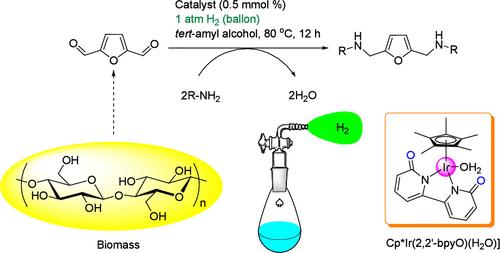 Reductive Amination of 2,5-Furandicarbaldehyde to N,N’-Disubstituted 2,5-Bis(aminomethyl)furan under Atmospheric Pressure of Hydrogen Gas Catalyzed by a Metal–Ligand Bifunctional Iridium Catalyst
