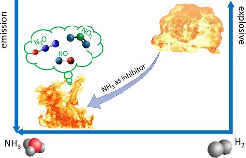A Comprehensive Numerical Study on the Inhibition Effect of Ammonia on Various (Un)strained Premixed Stoichiometric Hydrogen/Air Flame Systems