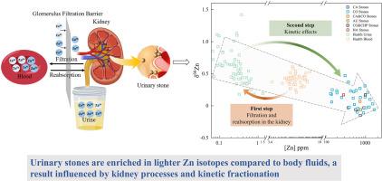 Deciphering the mineral code of urinary stones: A first look at zinc isotopes